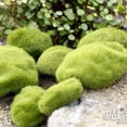 thumbnail image 3 of Moss Balls for Fish Tank on Sale Barhoo Moss Rocks Simulation Diy Artificial Decorative Stone Green Moss Home Decor Moss Stone Flocked Stone Clearance 1Pc Moss Stone Flocking Stone, 3 of 8