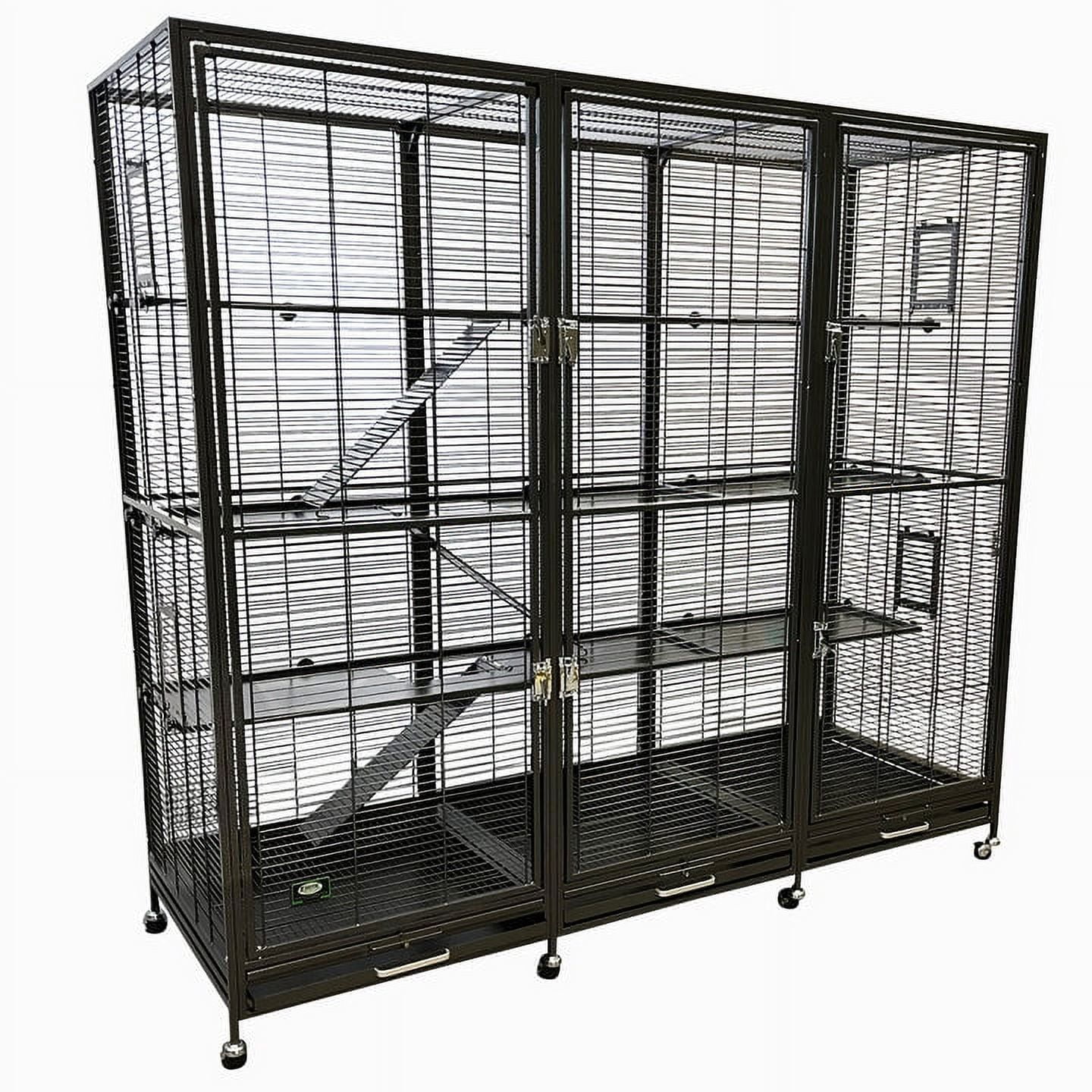 Exotic Nutrition Madagascar Cage & Starter Package for Sugar
