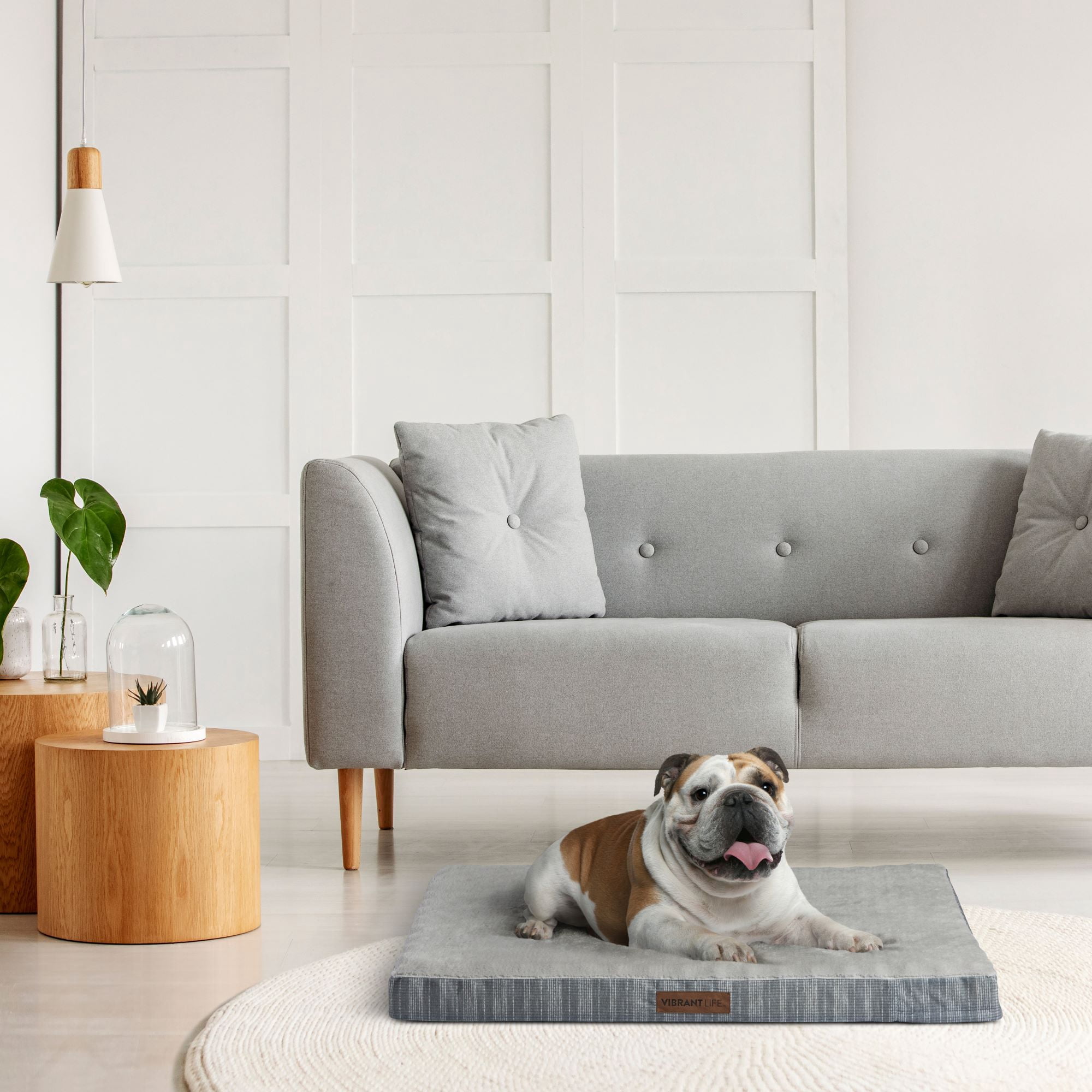 Vibrant Life Large Orthopedic Foam Dog Bed for Large Breeds, 35" x 25", Grey