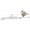 Silver Blade/White Toad, variant on Big Bite Tour Toad Buzzbait