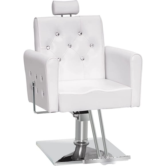 Reclining Salon Chair Reclining Salon Chair