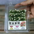 thumbnail image 3 of DIY Flower Cluster Model Railroad railway train layout Architecture Grass Layout Gardenia, 3 of 9