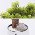 thumbnail image 3 of Árbol bonsái artificial, plantas falsas, plantas de pino artificiales, plantas de imitación en macetas for decoración interior/exterior, hogar, oficina, Hotel, 3 of 5