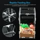 thumbnail image 4 of Caja de alimentación para reptiles, recinto para tarántula, recinto para insectos palo, recinto para araña saltadora, tanque para lagarto, 4 of 4