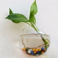 thumbnail image 3 of goowrom Pot de Fleurs Mural en Verre en Forme de Globe Vase Suspendu Jardinière, 3 of 9