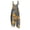 Dark Gray, variant on Women's Halloween Overalls Skeleton Skull Halter Backless Funny Jumpsuits Bat Pumpkin Sleeveless Spooky Overalls, XL