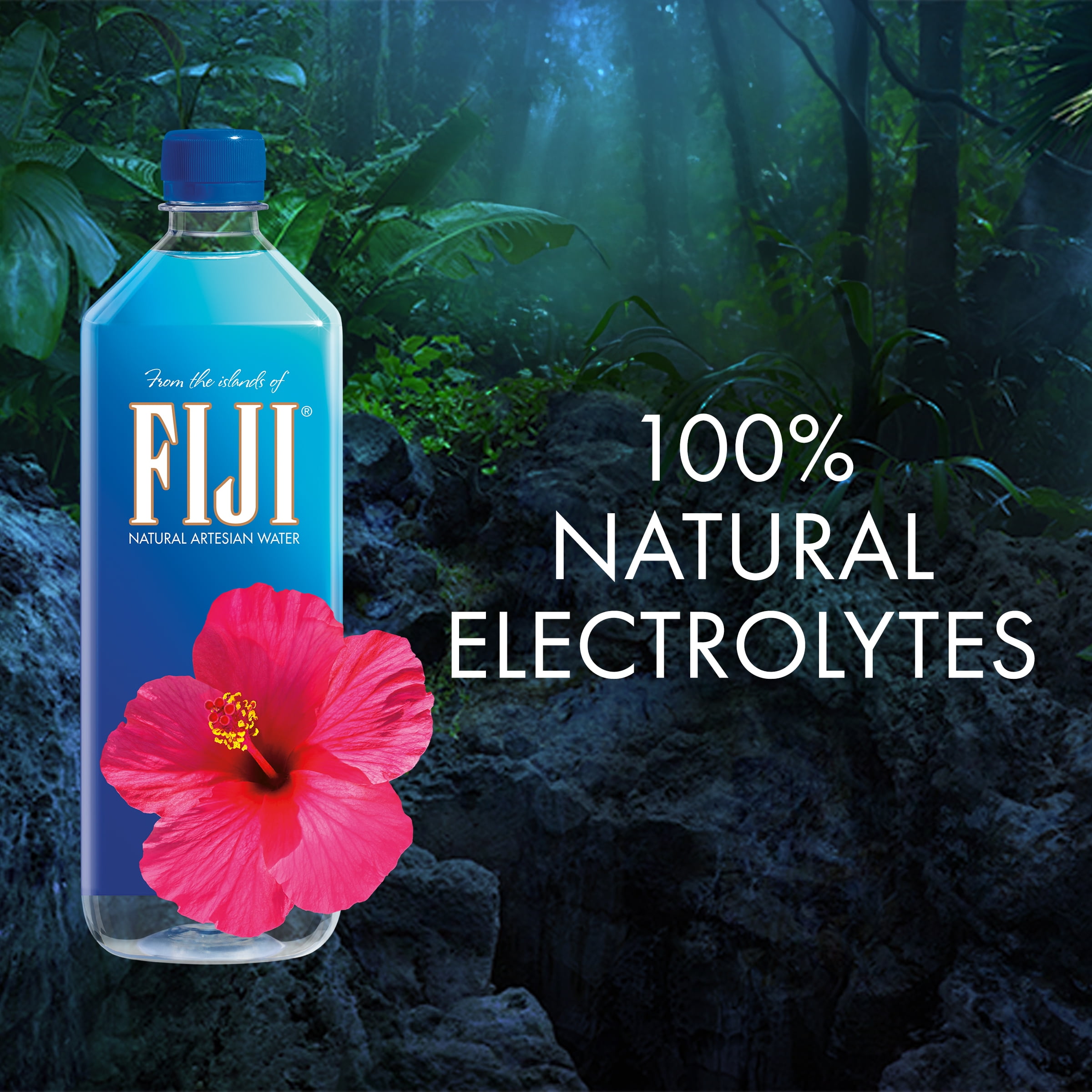FIJI Natural Artesian Bottled Water 1 Liter / 33.8 fl oz (Pack of 6) -100% Natural Electrolytes