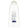 thumbnail image 3 of Dove Cool Moisture Shampoo, 3 of 3