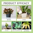 thumbnail image 6 of Slow Release Plant Fertilizer Sticks 18 Pack Indoor Outdoor Flower Food for Potted Plants Houseplants Garden Nutrients Booster Growth Enhancer, 6 of 8