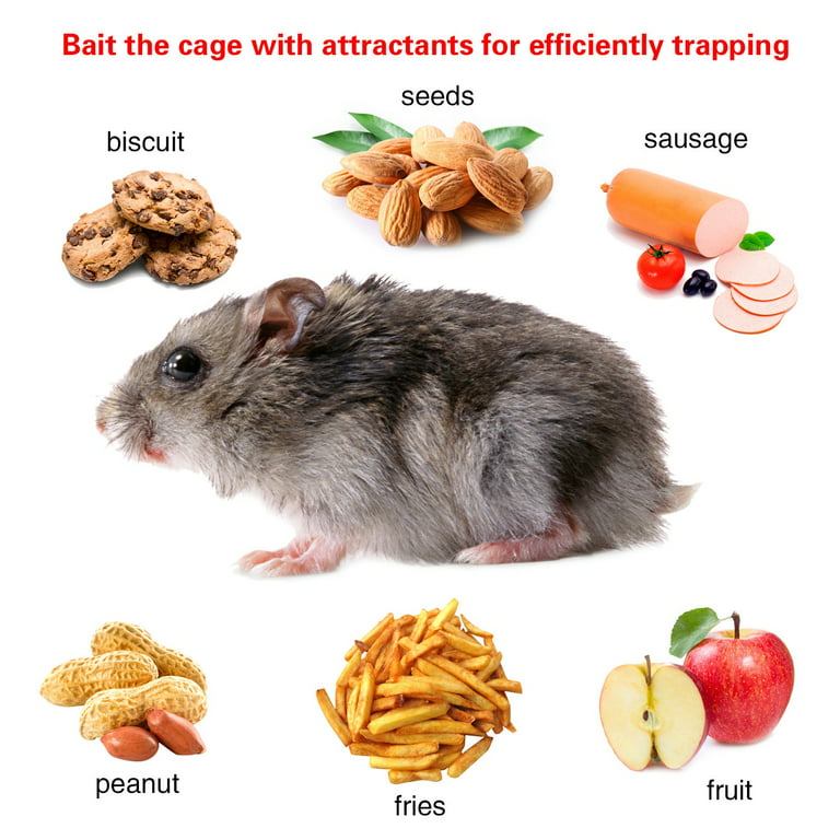 Zerodis Humane Rat Trap Cage Live Animal Pest Rodent Mice Mouse Control  Bait Catch,Rat Trap Cage,Bait Catch 