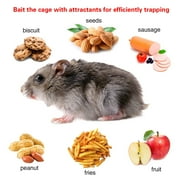 iMounTEK Rat Trap Cage Small Animal Rat Trap Cage Humane Mouse Trap Cage
