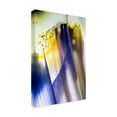 thumbnail image 2 of Ryan Hartson Weddle 'Subscape IV' Canvas Art, 2 of 3