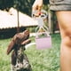 thumbnail image 4 of GOOHOCHY Recogedor de excrementos plegable con mango largo para perros, fácil de recoger, recogedor de heces de animales, 4 of 8