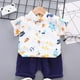 thumbnail image 2 of Odeerbi 1-8 Años Conjunto de Verano Para Niños de Hawaianos Camiseta de Manga Corta de Algodón Con Estampado Tropical Conjunto de Dos Piezas de Gráficos, 2 of 5