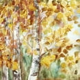 thumbnail image 2 of Tre Sorelle Studios 12x12 Black Ornate Wood Framed with Double Matting Museum Art Print Titled - Watercolor Fall Aspens Square, 2 of 4