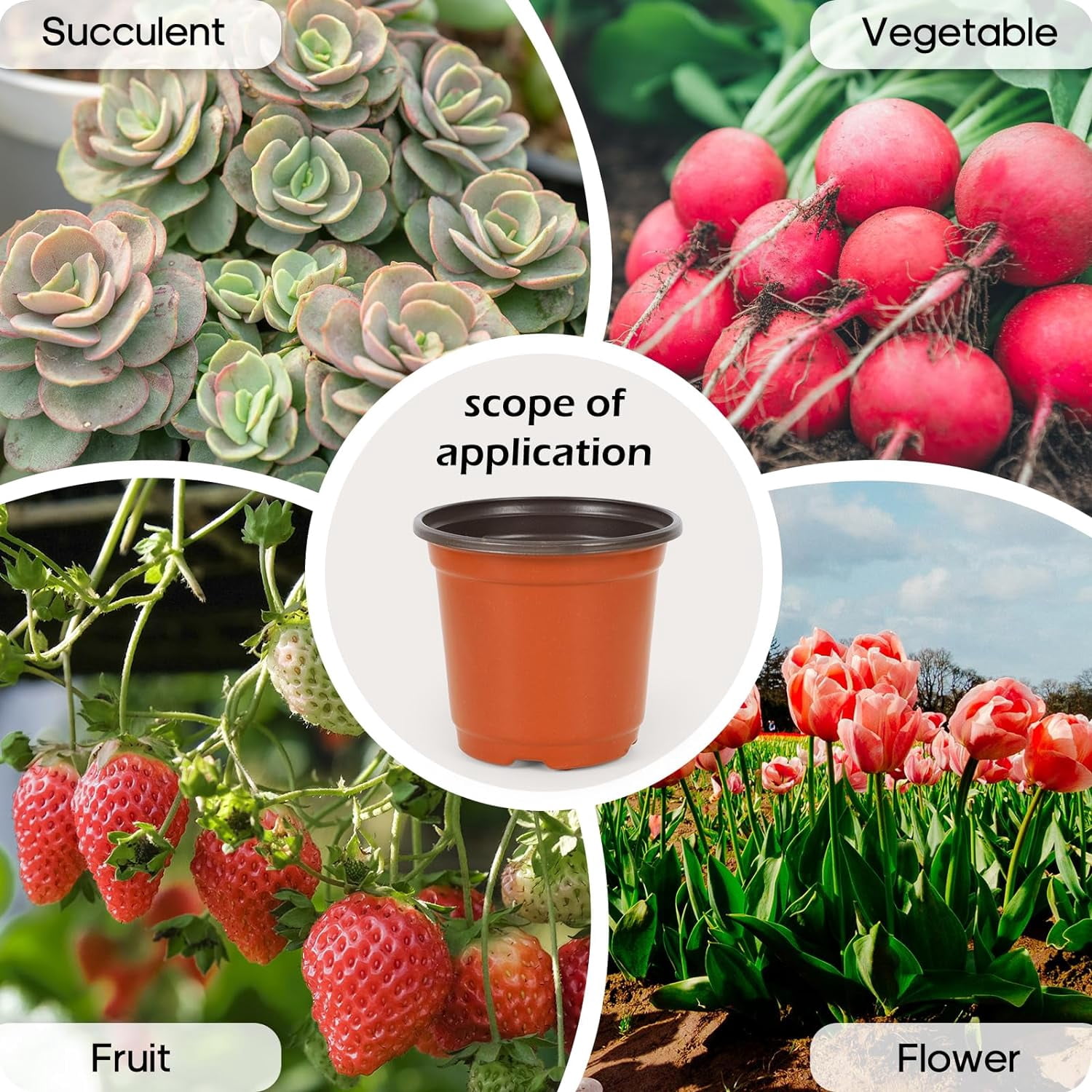 50 Pcs 5 inch Planter Nursery Pots, Planters for Indoor Plants，Plastic Pots for Flower Seedling (Red)