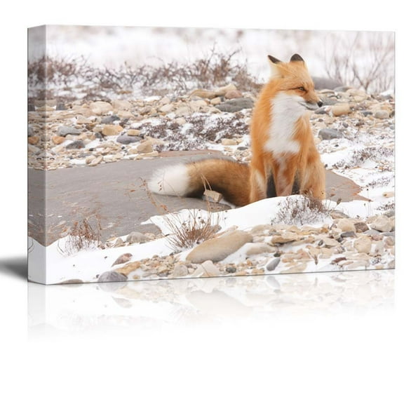 Canvas Prints Wall Art - Fox in The Wild | Modern Wall Decor/Home Decoration Stretched Gallery Canvas Wrap Giclee Print & Ready to Hang - 24" x 36"