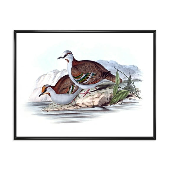 Designart 'Ancient Australian Birds IX' Traditional Framed Canvas Wall Art Print