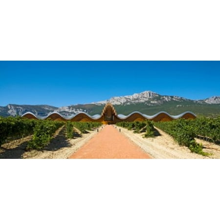 Bodegas Ysios winery building and vineyard La Rioja Spain Canvas Art - Panoramic Images (15 x (Best Rioja Wineries To Visit)