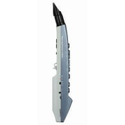 Roland AE-01 Aerophone Mini Digital Saxophone Bundle with Headphones and Austin Bazaar Polishing Cloth