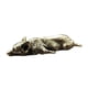 thumbnail image 4 of Estatua pequeña de latón para cachorro de Corgi galés Soledad recuerdo en miniatura 8,2x3,1x1,5 cm, 4 of 9