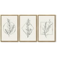 thumbnail image 7 of 16x24in Natural Framed Flower Wall Art Vintage Floral Minimalist Wall Hanging Decor for Office Dining Room Hallway Bohemain Botanical Prints Artwork, 7 of 7