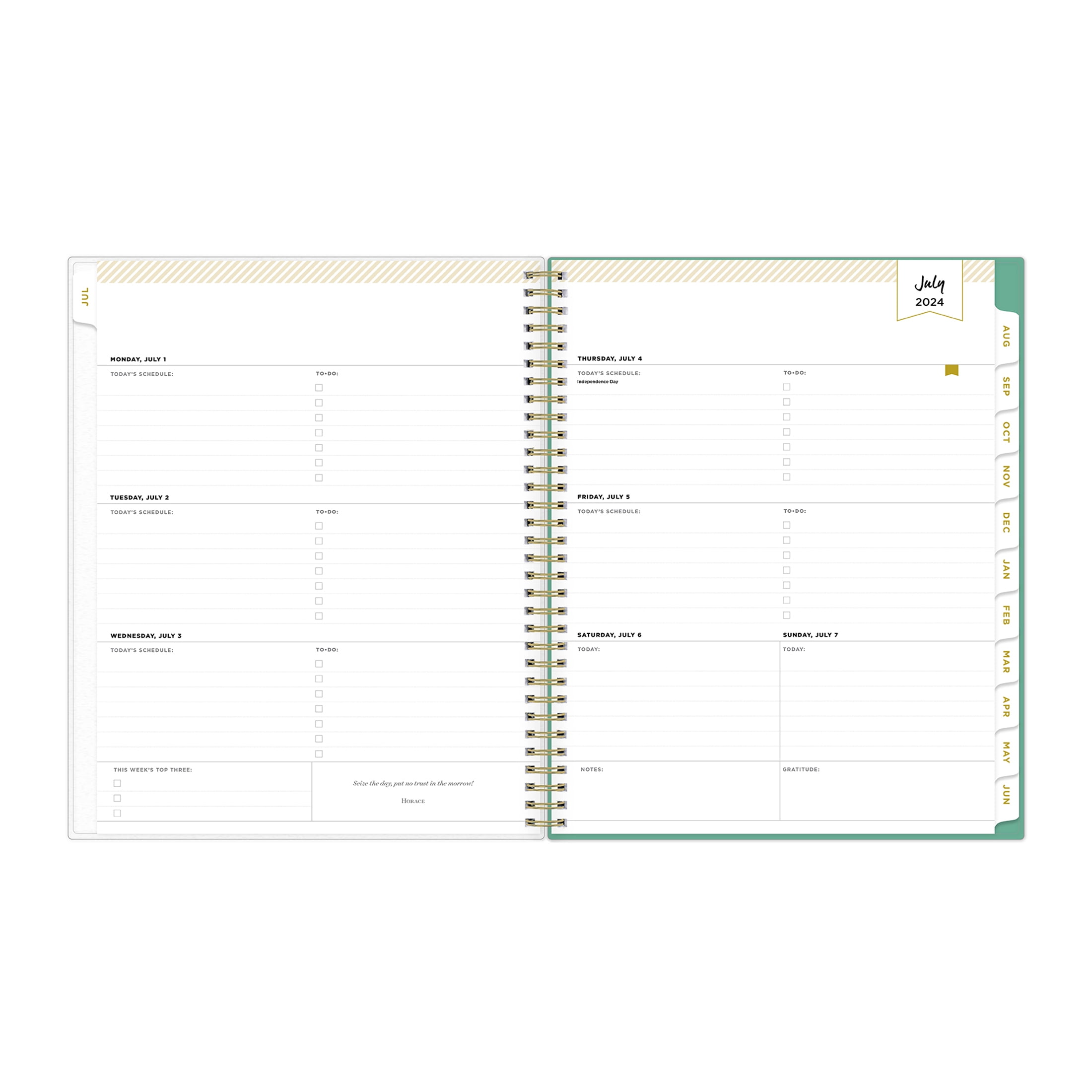 Day Designer for Blue Sky 2024-2025 Weekly Monthly Planner, 8.5x11, Palms