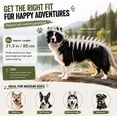 thumbnail image 4 of Pet Dinosaur Costume, 31.4inch Halloween 3D Skeleton Design Costume for Medium to Large Dogs, Realistic Dino Outfit for Pet Cosplay Party Family, Round and Chubby Body,Adorably Silly Black, 4 of 7