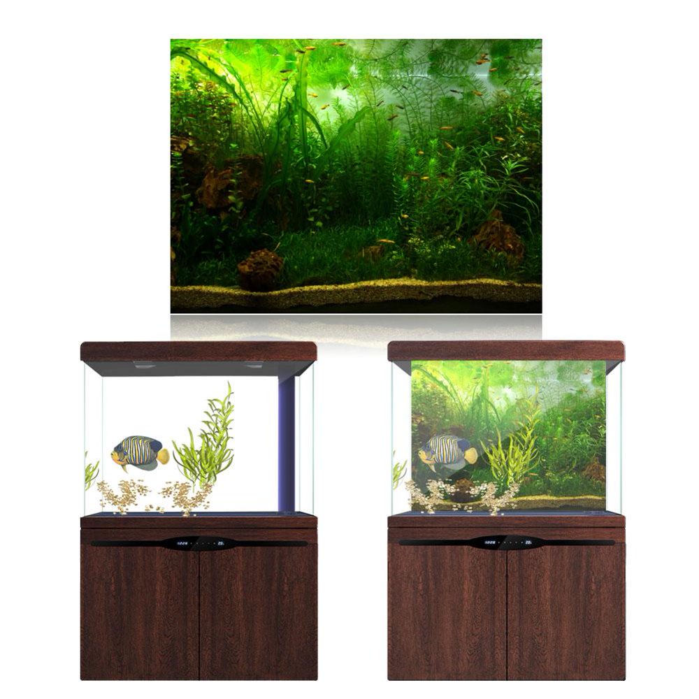 55 gallon aquarium background image