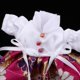 thumbnail image 4 of Traje de vestido de muñeca Linda Falda Estampada De Flores Y Clips Decorativos Para Vestido De Muñeca Blythe Rosa Rojo Magideal Traje de vestido de muñeca, 4 of 7