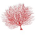 thumbnail image 3 of 1pc Plastic Coral Branch Artificial Coral Decoration Landscape Decoration Props for Wedding Aquarium Home (Red), 3 of 4