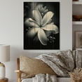 thumbnail image 2 of Designart "Exotic Plumeria Bloom in Black and White II" Floral Print on Natural Pine Wood, 2 of 5