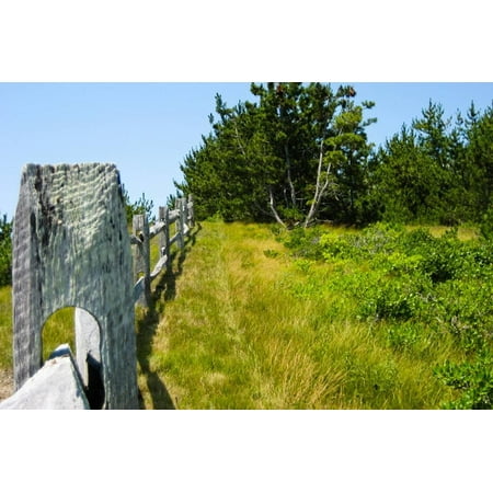 Ibm Photo - Nantucket Island Weathered Wood Fence Photo Poster Poster Wall Art