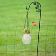 thumbnail image 6 of SHISUYAN 2pcs Hanging Planter Indoor Plant Pot Transparent Plant Hanger With Drainage Hole And Chain Plastic Hanging Flower Pot With Hook For Indoor Outdoor Garden Home Patio Decor, 6 of 7