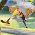thumbnail image 3 of Prndkhn Window Bird Feeder, Clear Birdfeeder for Window, Squirrel-Proof Bird Watching with Strong Suction Cup, Large Food Storage Design Bird Feeder for Outdoor Decor, 3 of 8
