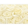 thumbnail image 2 of wall26 - Soft Yellow Rose Pattern, Pastel - Wall Mural, Removable Sticker, Home Decor - 66x96 inches, 2 of 6