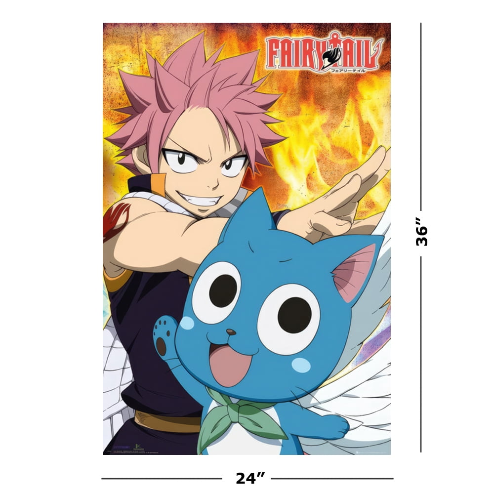 Fairy Tail Manga Anime TV Show Poster (Natsu Happy) (Size
