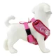 thumbnail image 4 of Pechera Arnes Ajustable Con Correa Para Perro, 4 of 8