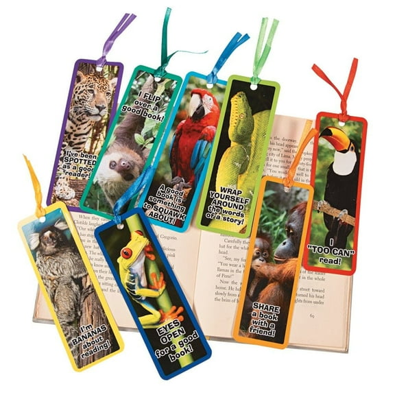 Laminated Realistic Rainforest Animal Bo - Stationery - 48 Pieces