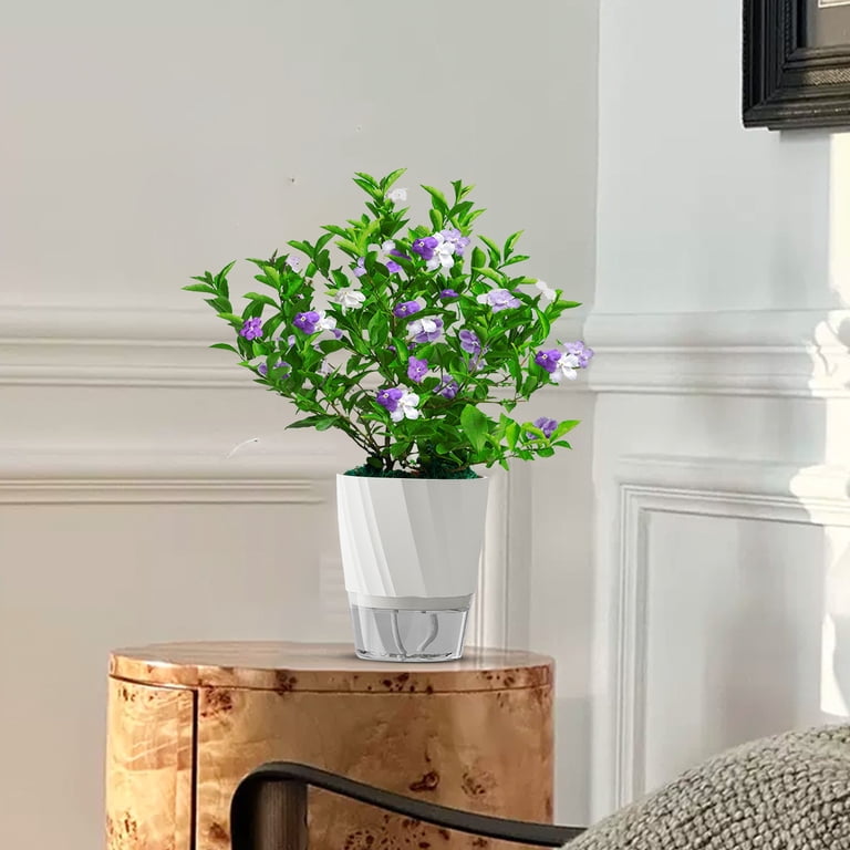 Kraoden Self Watering Pothos Planter, Automatic Watering Flower Pot with  Water Conduction Rope for Indoor Plants and Succulents - Walmart.com