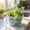 🔥 Blue_New, variant on YYV Multifunctional Vegetable and Fruit Press Strainer, Heavy Duty Kitchen Tool for Juicing Straining Pureeing, Easy Clean Stainless Steel Home Use