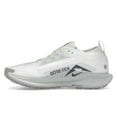 thumbnail image 2 of Nike Men's Pegasus Trail 5 Gore-Tex Summit White Light Silver College Grey Sequoia Shoes, from StockX, 2 of 5