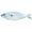 C, variant on BCZHQQ Fish Shaped Pencil Case with Canvas Fabric and Nylon Lining,Summer Saving Clearance