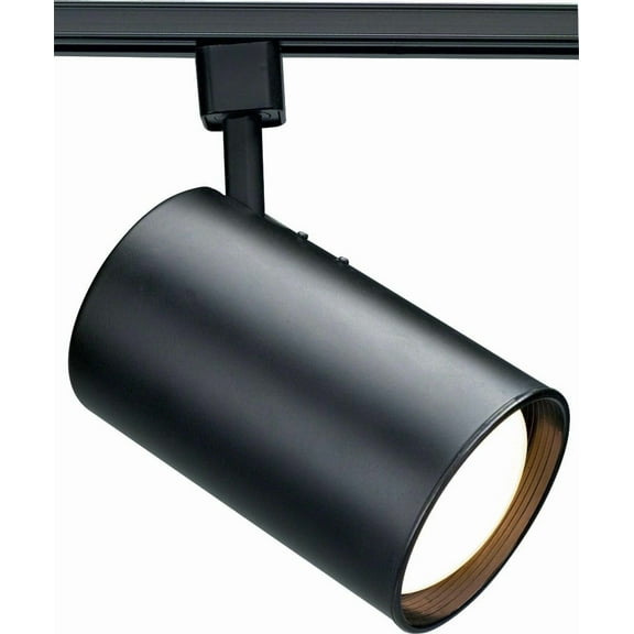 1 - Light Black Track Lighting