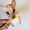 thumbnail image 5 of Pet Republique Cat & Small Dog Mini-Head Toothbrush - Pack of 6, Great for Puppy, Small Dog, Cat, Kitten, 5 of 7