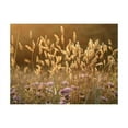 thumbnail image 3 of Tiptophomedecor Floral Wallpaper Wall Mural - Awakening Ceral Field, 3 of 4