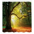 thumbnail image 3 of Ambesonne Tree Shower Curtain, Oak Autumn Leaves, 69"Wx75"L, Orange Green Brown, 3 of 5