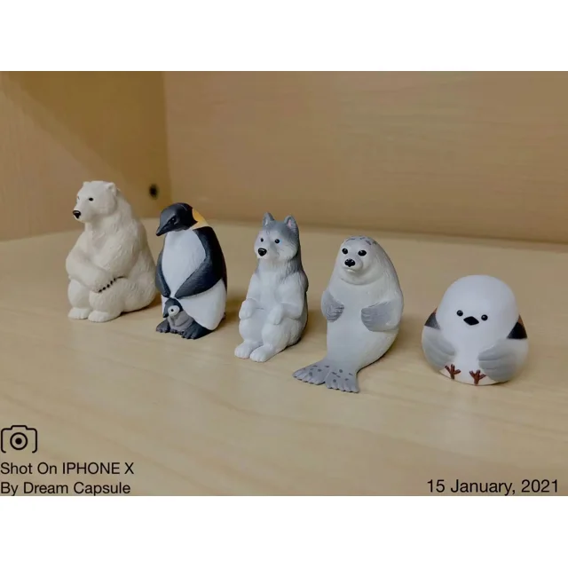 Japanese Genuine Gacha Scale Model Lap Around Waiting Animals Pigeons Chihuahuas Sheep Orangutans Action Figure Toy