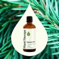 thumbnail image 3 of Plant Therapy Balsam Fir Essential Oil 100 mL (3.3 oz) 100% Pure, Undiluted, Natural Aromatherapy, 3 of 8