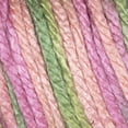 thumbnail image 2 of Caron Acrylic Simply Soft Paints Yarn (141 g/5 oz), Rose Garden, 2 of 5